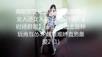 [MP4/ 209M]&nbsp;&nbsp;白嫩美女模特紫宣私拍 美乳红丝袜大阴唇性感阴毛诱惑十足