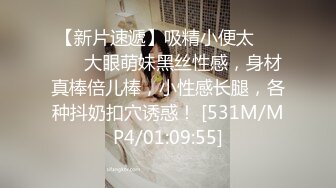 母犬调教 贤妻女仆的极致服务