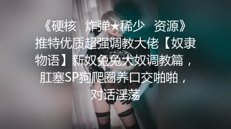 后入调教黑丝长靴小母狗