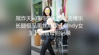 [高清中文字幕] SNIS-279在電車上被痴漢侵犯上癮的巨乳女大學生夢乃愛華