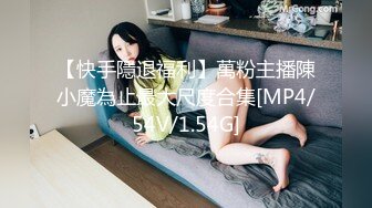 最终痴汉电车NEXT_Molester_2「お前は最高の女だ」_中文字幕