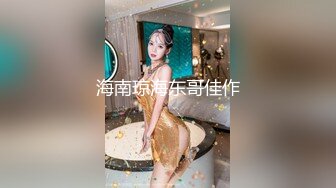 海南琼海东哥佳作