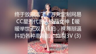 【台湾三级】烈火女警花