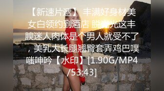 【MP4/1.01GB】AV0008 巨乳按摩美妹奶搓肉棒忍不住強插爽到射進去(無碼超清國產)