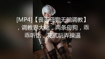 何以解淫唯有后入