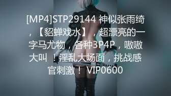 [MP4]STP29144 神似张雨绮，【貂蝉戏水】，超漂亮的一字马尤物，各种3P4P，嗷嗷大叫 ！淫乱大场面，挑战感官刺激！ VIP0600