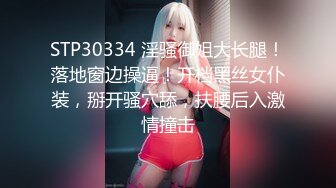 《重磅炸弹》潇洒炮神富二代和他的骚母狗们清一色大长腿极品身材绿茶婊被各种啪啪调教