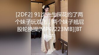 [2DF2] 91沈先生探花约了两个妹子玩双飞，两个妹子翘屁股轮换操[MP4/223MB][BT种子]