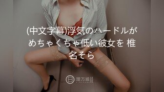 MIAA-080 那个夏天与妖豔巨乳女教师如梦中般的性爱。 咲咲原凛