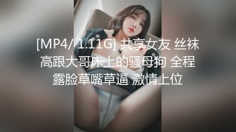 [MP4/ 1.11G] 共享女友 丝袜高跟大哥床上的骚母狗 全程露脸草嘴草逼 激情上位