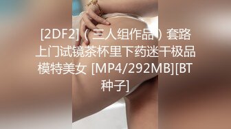 [2DF2]（三人组作品）套路上门试镜茶杯里下药迷干极品模特美女 [MP4/292MB][BT种子]