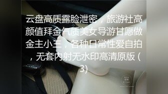 云盘高质露脸泄密，旅游社高颜值拜金气质美女导游甘愿做金主小三，各种日常性爱自拍，无套内射无水印高清原版 (3)