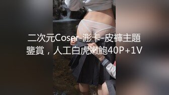 二次元Coser-浵卡-皮褲主題鑒賞，人工白虎嫩鮑40P+1V