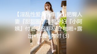 【淫乱性爱美乳丰臀】肥臀人妻『甜甜圈】丰臀少妇『小阿姨』付费电报群私拍 啪啪+露出+肥臀+内射 (3)