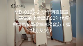 MD-0165-2_少年阿賓篇章二騷氣的小美學姐90年代經典情色文學改編官网蜜苏（蜜桃苏艾文）