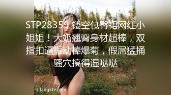 STP28359 镂空包臀裙网红小姐姐！大奶翘臀身材超棒，双指扣逼振动棒爆菊，假屌猛捅骚穴搞得湿哒哒