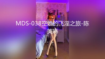 MDS-038空姐的飞淫之旅-陈美琳