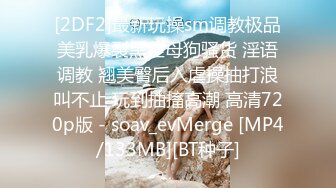 [2DF2]最新玩操sm调教极品美乳爆裂黑丝母狗骚货 淫语调教 翘美臀后入虐操抽打浪叫不止 玩到抽搐高潮 高清720p版 - soav_evMerge [MP4/133MB][BT种子]