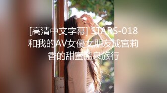 [高清中文字幕] STARS-018和我的AV女優女朋友成宮莉香的甜蜜溫泉旅行