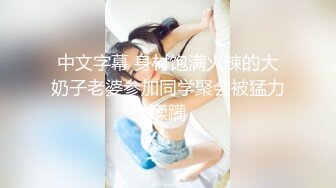 中文字幕 身材饱满火辣的大奶子老婆参加同学聚会被猛力蹂躏