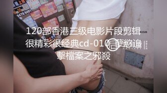 120部香港三级电影片段剪辑很精彩很经典cd-010  孽慾追擊檔案之邪殺