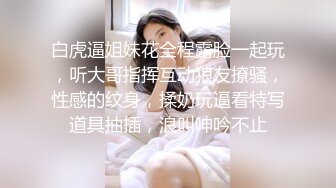 路边公厕全景偷拍两位美少妇的极品肥鲍鱼