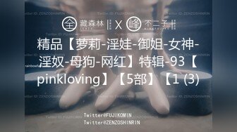 精品【萝莉-淫娃-御姐-女神-淫奴-母狗-网红】特辑-93【pinkloving】【5部】【1 (3)