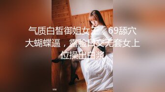 气质白皙御姐女王，69舔穴大蝴蝶逼，露脸口交无套女上位操出白浆