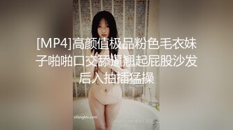 [MP4]高颜值极品粉色毛衣妹子啪啪口交舔逼翘起屁股沙发后入抽插猛操