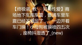 【终极调_教❤️另类性爱】商场地下车库车震，普通车里车震已经不满足了，，一边开着车门操！小母狗被操喷四五次，座椅抖湿透了_(new)