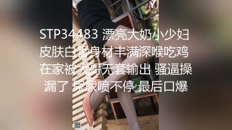 STP32436 红感影像传媒 RDS0001 ChatGPT机器人女友肉便器 吴芳宜(黎芷萱)