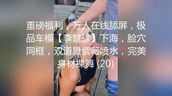 重磅福利，万人在线舔屏，极品车模【李慧珍】下海，脸穴同框，双道具紫薇喷水，完美身材裸舞 (20)