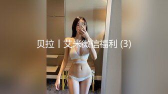 【中文字幕】SNIS-279 在電車上被癡漢侵犯上癮的巨乳女大學生 夢乃あいか(夢乃愛華)