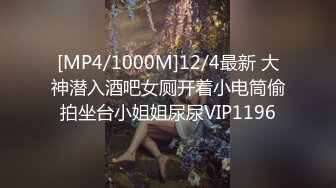 [MP4/1000M]12/4最新 大神潜入酒吧女厕开着小电筒偷拍坐台小姐姐尿尿VIP1196