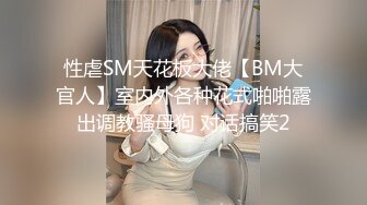 性虐SM天花板大佬【BM大官人】室内外各种花式啪啪露出调教骚母狗 对话搞笑2