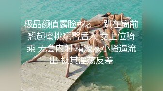 【JaneFishers】-完美胸型的白人主播，露脸自慰【33V】 (17)