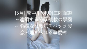 [5月][繁中][PoRO]三射面談～連鎖する恥辱·調教の學園～ 強気な女教師スパッツ·愛奈～埋められる筆棍棒