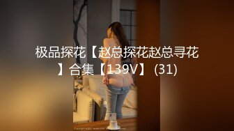 极品探花【赵总探花赵总寻花】合集【139V】 (31)