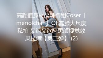 高颜值身材火辣御姐Coser「meriolchan」OF露脸大尺度私拍 又纯又欲阿黑颜视觉效果拉满【第二弹】 (2)