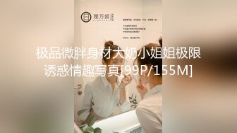 极品微胖身材大奶小姐姐极限诱惑情趣写真[99P/155M]