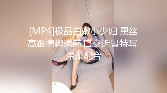 [MP4]极品白嫩小少妇 黑丝高跟情趣诱惑 口交近景特写 温柔配合