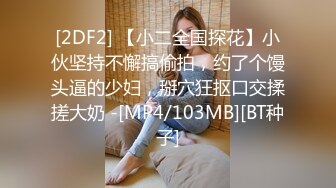 [2DF2] 【小二全国探花】小伙坚持不懈搞偷拍，约了个馒头逼的少妇，掰穴狂抠口交揉搓大奶 -[MP4/103MB][BT种子]