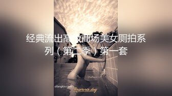 经典流出高级商场美女厕拍系列（第二季）第一套