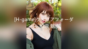 [H-game]クオリアフォーダンス_柏原 魅樹