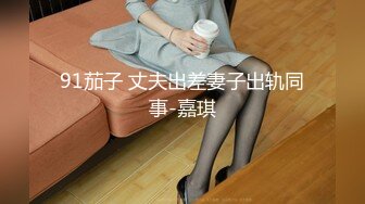 91茄子 丈夫出差妻子出轨同事-嘉琪