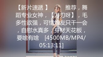 MPG-0107女画家的极致手活