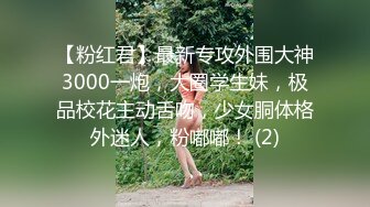 【粉红君】最新专攻外围大神3000一炮，大圈学生妹，极品校花主动舌吻，少女胴体格外迷人，粉嘟嘟！ (2)