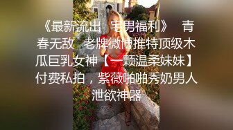 《最新流出✿宅男福利》✿青春无敌✿老牌微博推特顶级木瓜巨乳女神【一颗温柔妹妹】付费私拍，紫薇啪啪秀奶男人泄欲神器