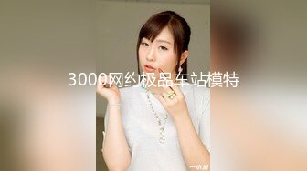 3000网约极品车站模特