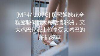 [MP4]粉衣牛仔裤妹子激情啪啪，口交舔弄上位骑坐抬腿大力猛操